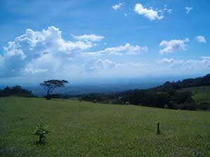 Atop the wide, flat ridge, the lots have vast panoramic views. 